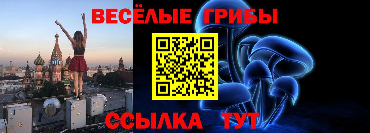 Галлюциногенные грибы Magic Shrooms Каспийск