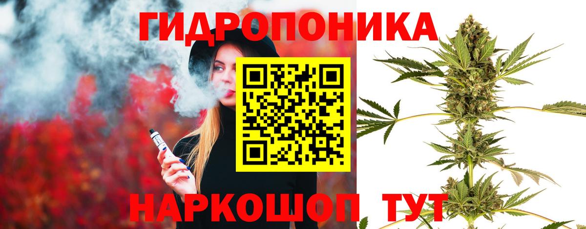 Бошки марихуана сатива Каспийск
